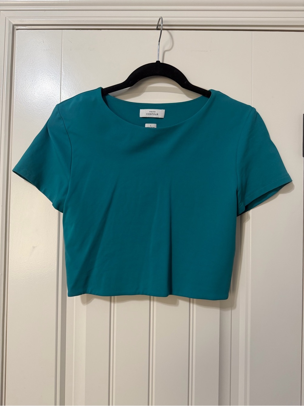 Aritzia Contour Crop Tee